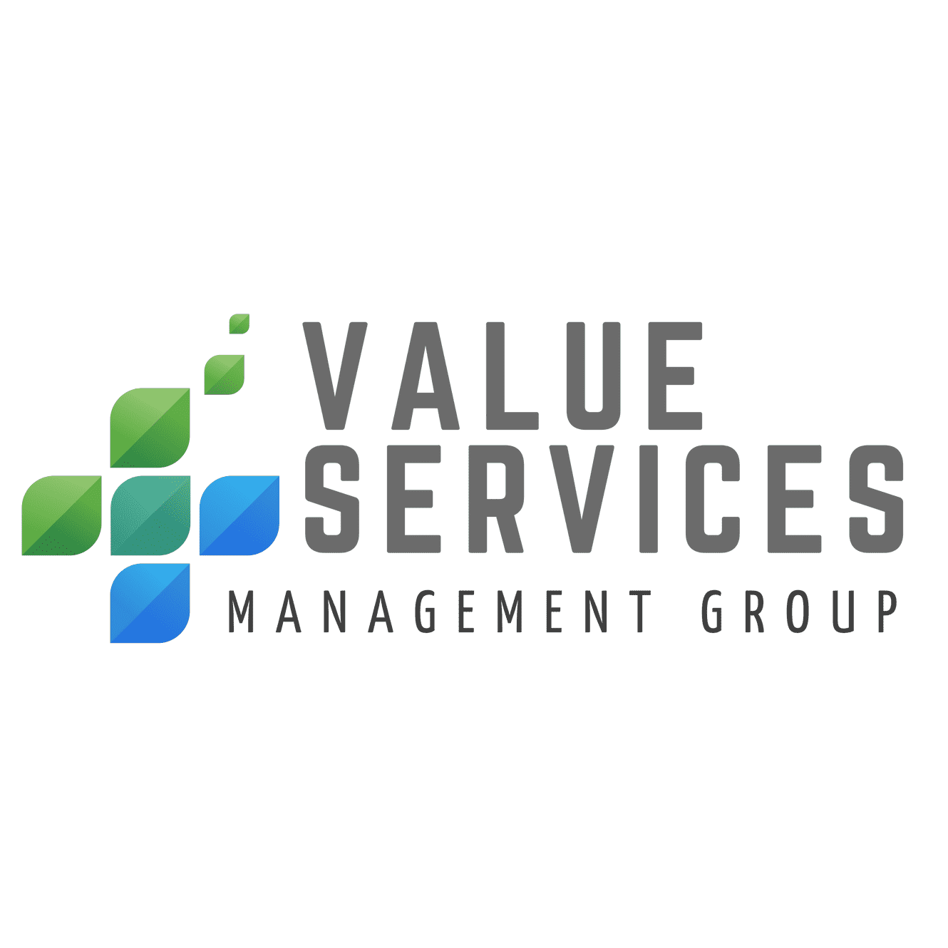 value-services-mgt-logo